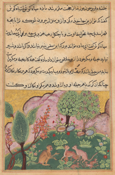 The monkey, serving as the lion’s chamberlain, converses with the lynx and its mate who have arrived with their cubs to settle in the lion’s domain, from a Tuti-nama (Tales of a Parrot): Twenty-ninth Night