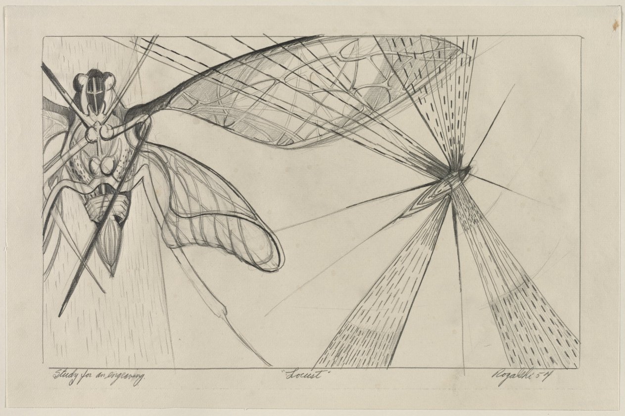 Study for Locust, Walter R. Rogalski, 1954