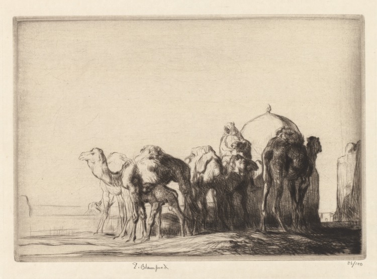 Camels at a Wall