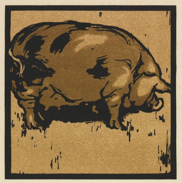 The Square Book of Animals: The Learned Pig
