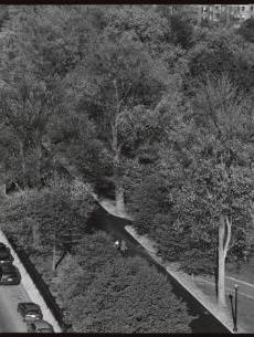 Violet Romer as Psyche, III | Cleveland Museum of Art