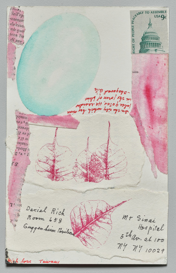Cat (recto), Lenore Tawney, 1976