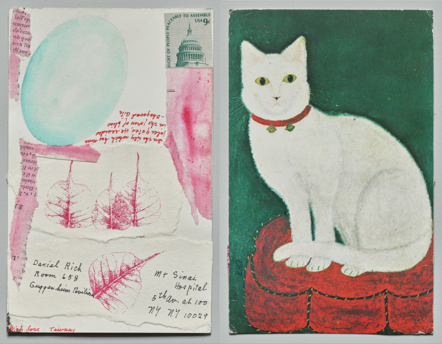 Cat, Lenore Tawney, 1976