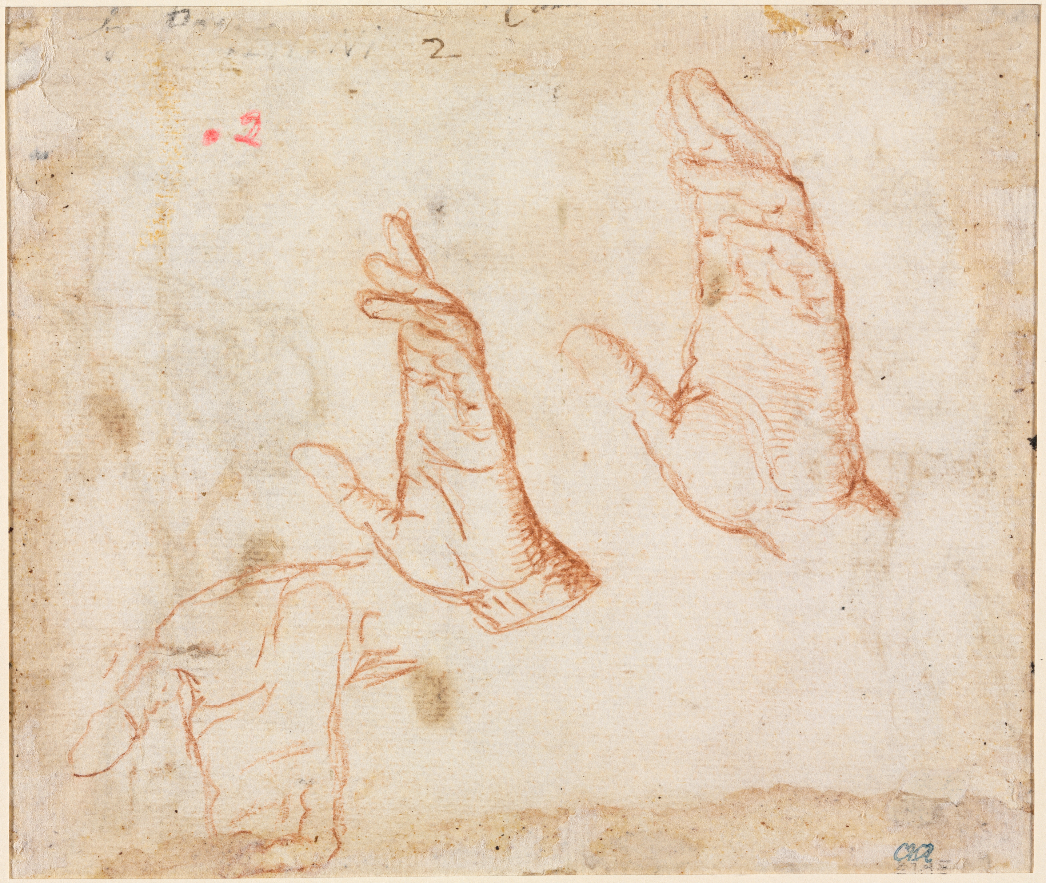 Study of Hands (verso)