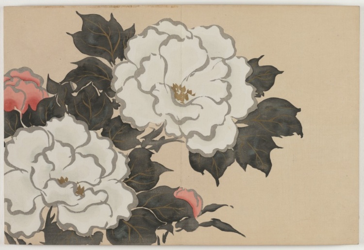 Flowers of a Hundred Worlds (Momoyogusa): Peonies (Fukamigusa)