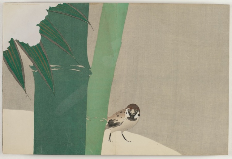 Flowers of a Hundred Worlds (Momoyogusa): Bamboo in Snow (Secchuchiku)