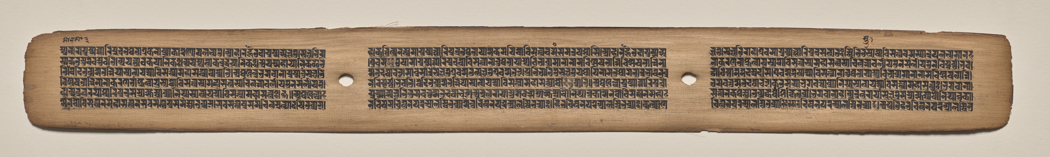 Text, Folio 113 (recto), from a Manuscript of the Perfection of Wisdom in Eight Thousand Lines (Ashtasahasrika Prajnaparamita-sutra)