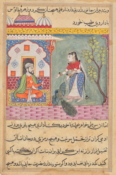 The Brahman’s wife who killed a peacock and ate its gallbladder on the physician’s advice, from a Tuti-nama (Tales of a Parrot): Nineteenth Night