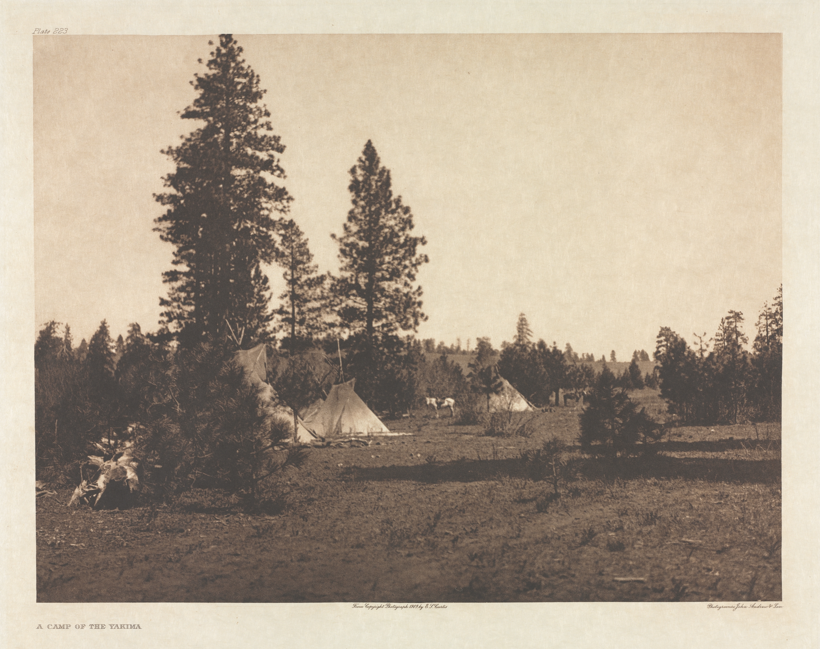 Portfolio VII, Plate 223: A Camp of the Yakima