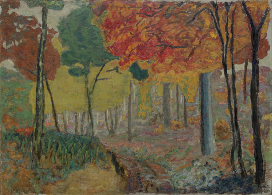 Deer in the Undergrowth, Pierre Bonnard, c. 1908