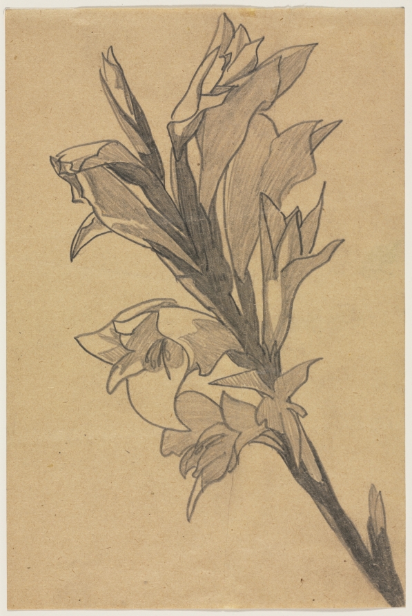 Flower Study, Henry Keller, c. 1891–1949