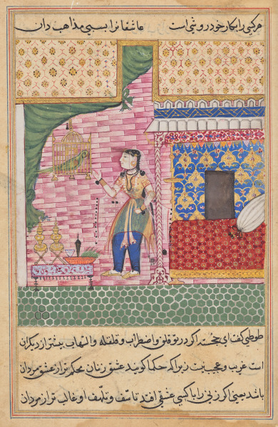 The Parrot Addresses Khujasta at the Beginning of the Seventeenth Night, from a Tuti-nama (Tales of a Parrot)