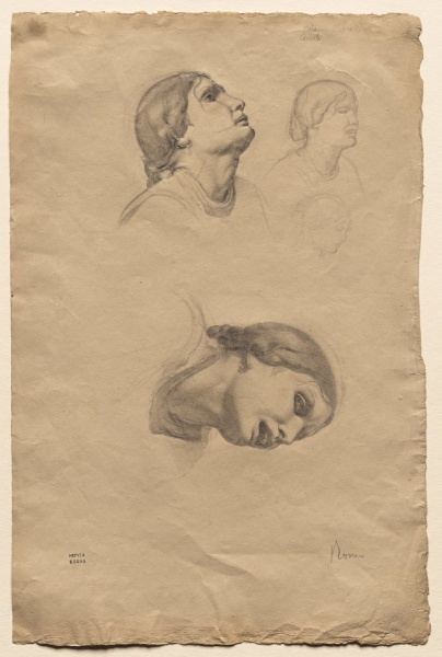Four Studies of the Head of a Young Italian Woman