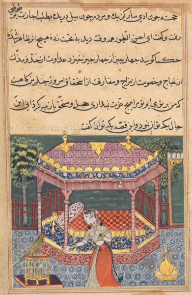 The parrot addresses Khujasta at the beginning of the thirty-seventh night, from a Tuti-nama (Tales of a Parrot)