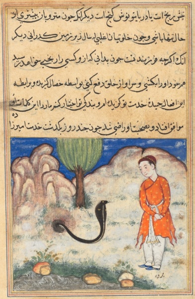 The prince, a son of the ruler of Sistan, enters the service of a snake, from a Tuti-nama (Tales of a Parrot): Thirty-seventh Night