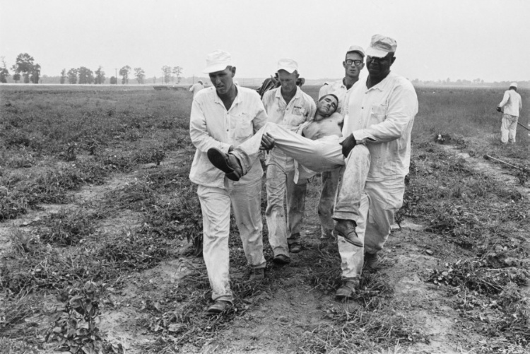 Heat Exhaustion (man being carried by prisoners)