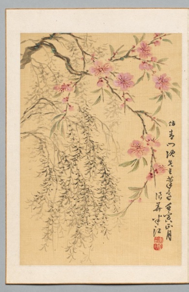 Peach Blossoms and Willows