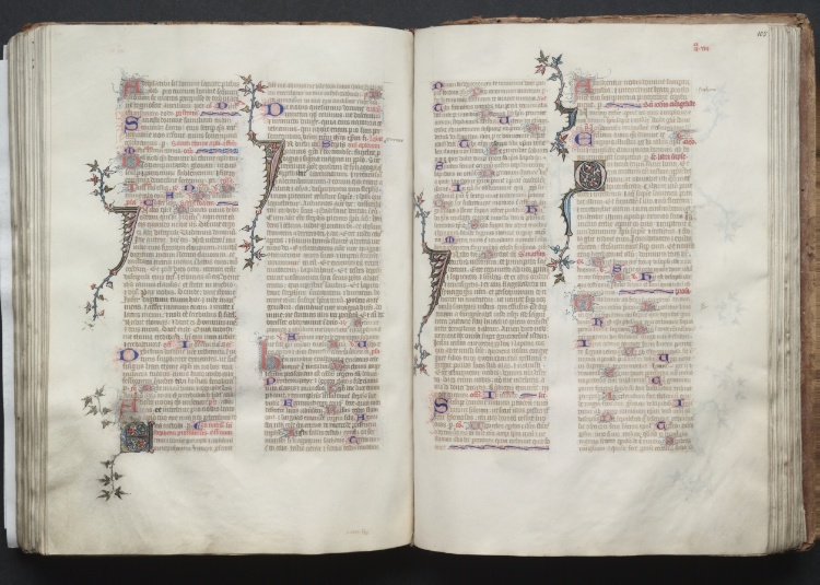 The Gotha Missal:  Fol. 105v, Text