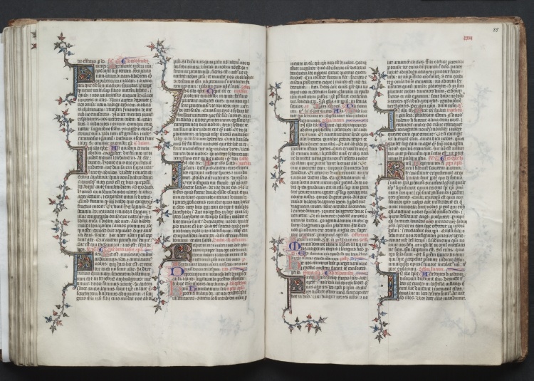The Gotha Missal:  Fol. 85r, Text