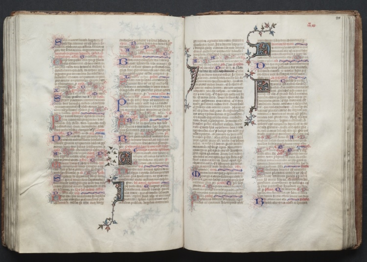 The Gotha Missal:  Fol. 110v, Text