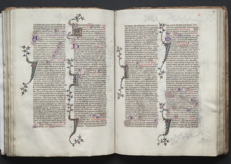 The Gotha Missal:  Fol. 81v, Text
