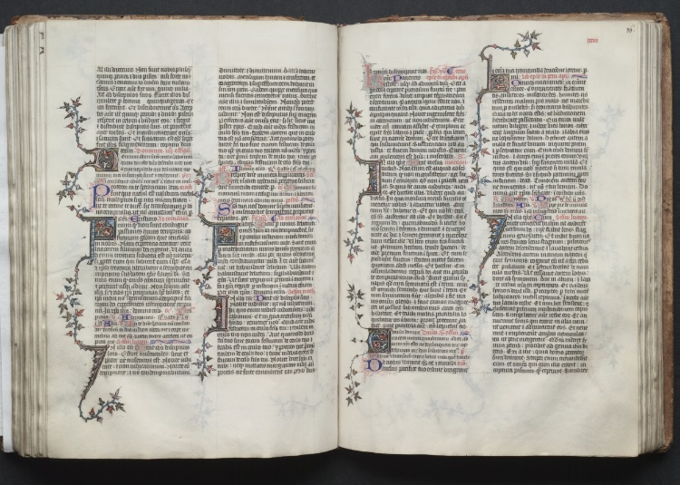 The Gotha Missal:  Fol. 85v, Text