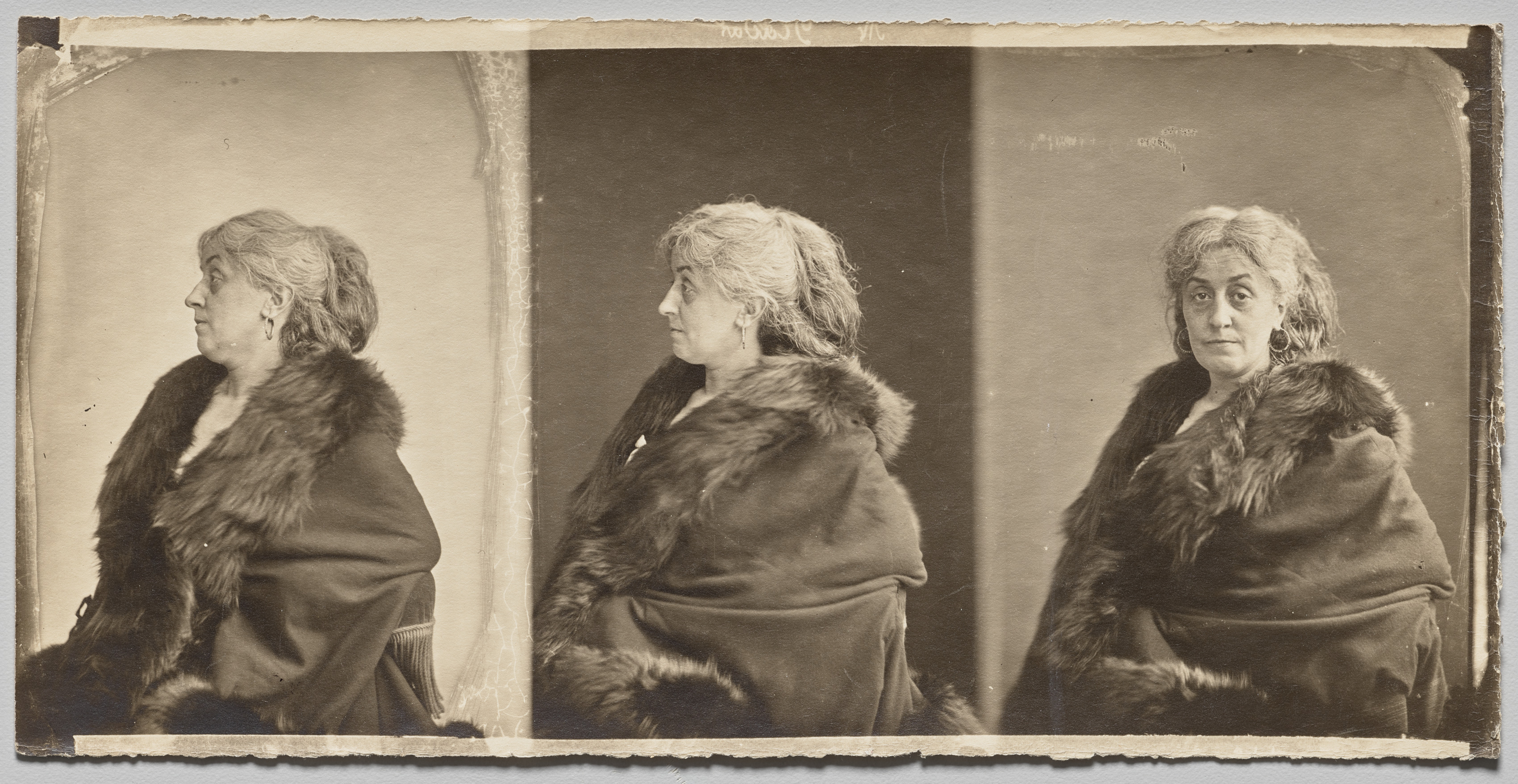 Portrait of Ernestine Nadar, the artist's wife, wearing fur stole