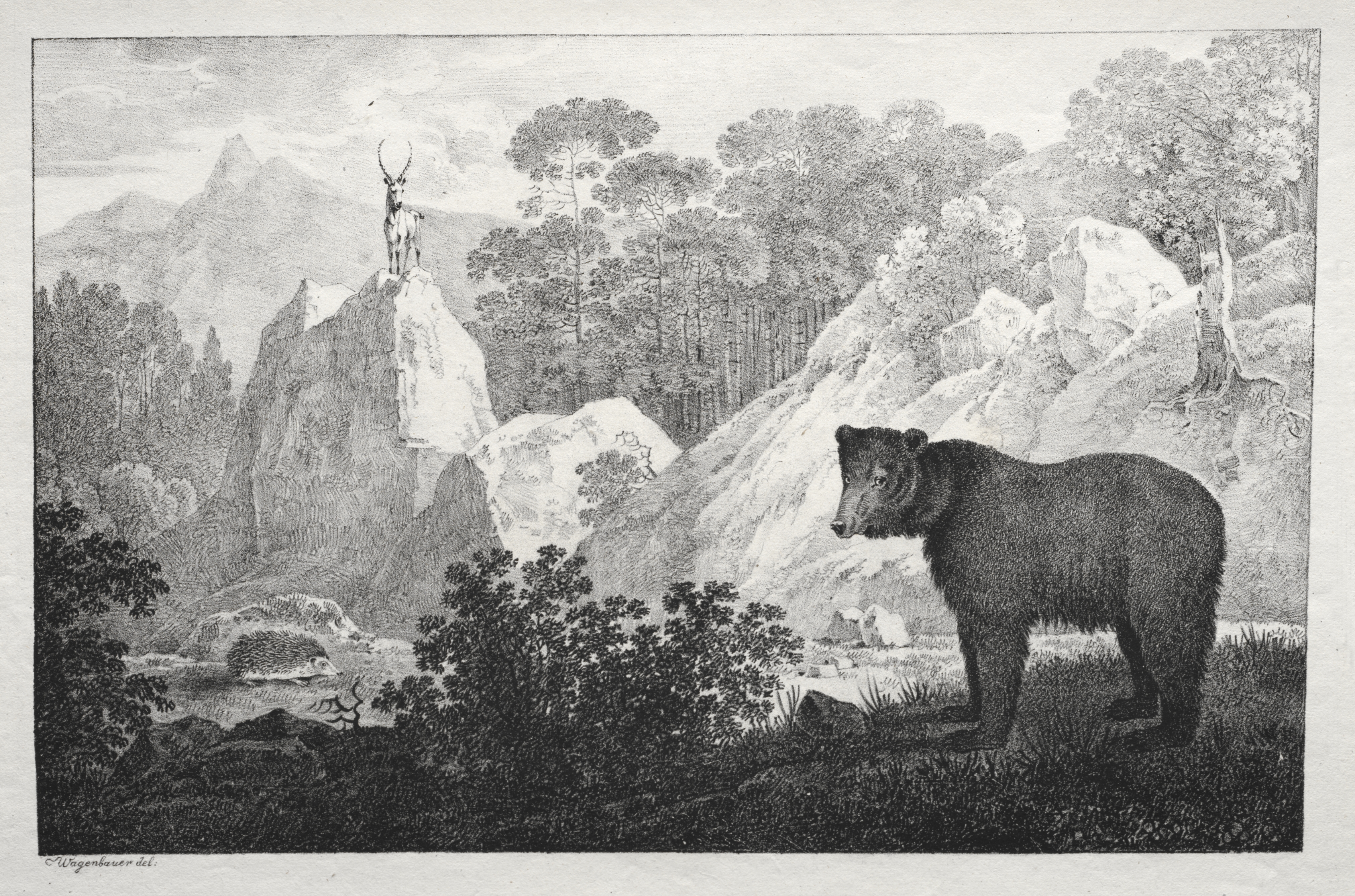 Mountainous Landscape with Bear in the Foreground
