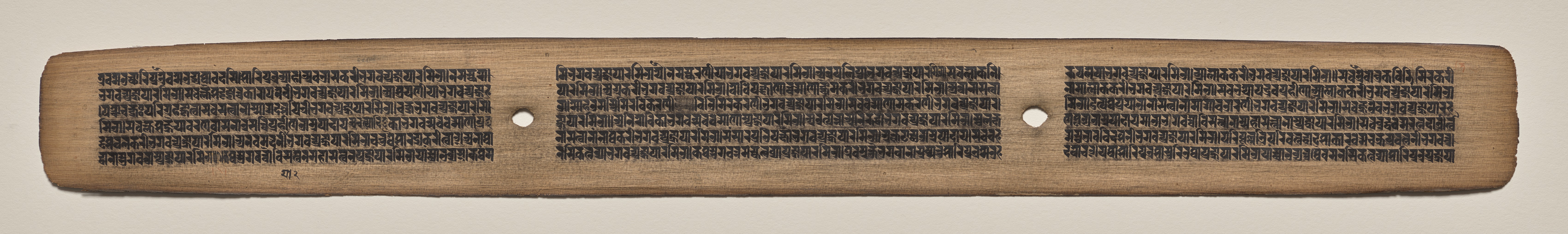 Text, Folio 61 (recto), from a Manuscript of the Perfection of Wisdom in Eight Thousand Lines (Ashtasahasrika Prajnaparamita-sutra)