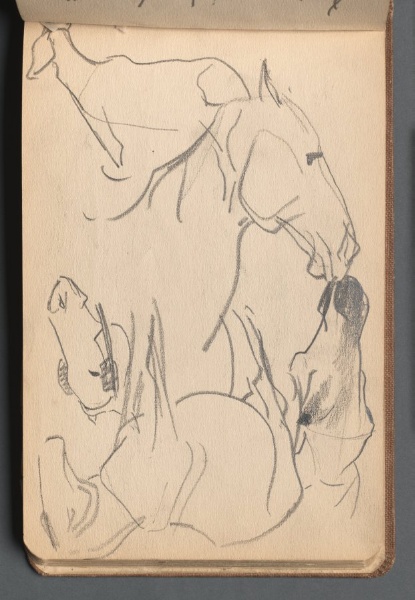 Study of Horses (pg 48) 