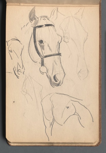 Study of Horses (pg 50)