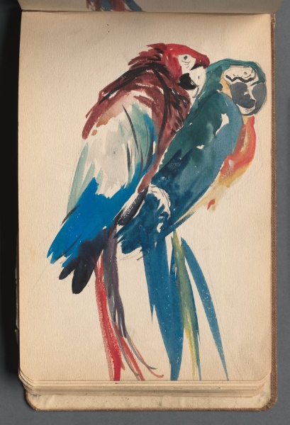 2 Parrots (pg 34) 
