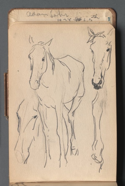 Study of Horses (pg 49)