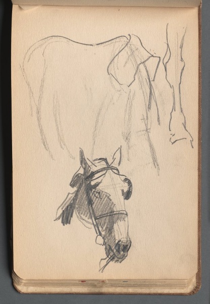 Study of a Horse (pg 42) 