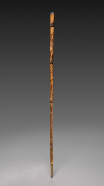 Walking Stick of Moses Seymour