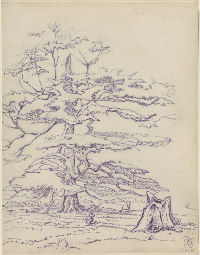 Beech Tree, Charles Burchfield, 1919