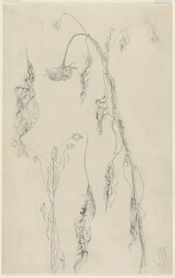 Sunflower Studies, Charles Burchfield, 1917