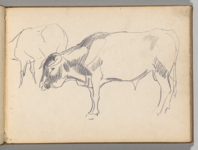 Sketchbook, Spain: Page 3, Sketch of a Bull
