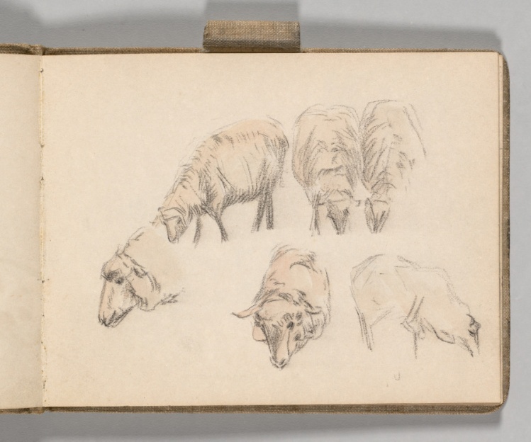 Sketchbook, Holland: Page 9, Studies of Six Sheep