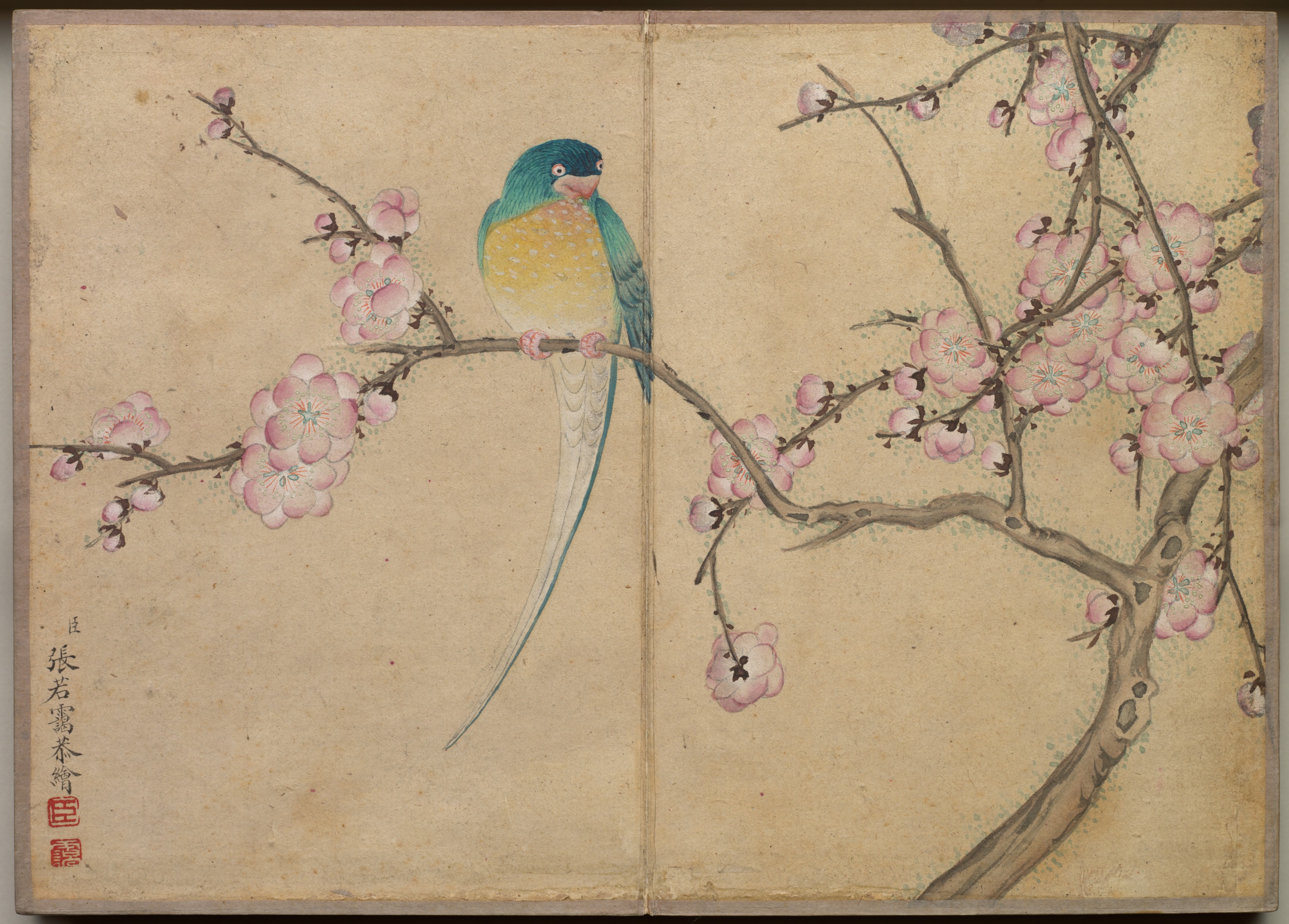 Desk Album: Flower and Bird Paintings (Bird with Plum Blossoms)