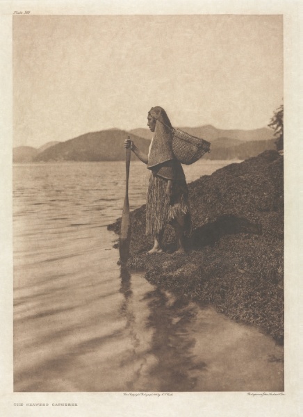 Portfolio XI, Plate 369: The Seaweed Gatherer