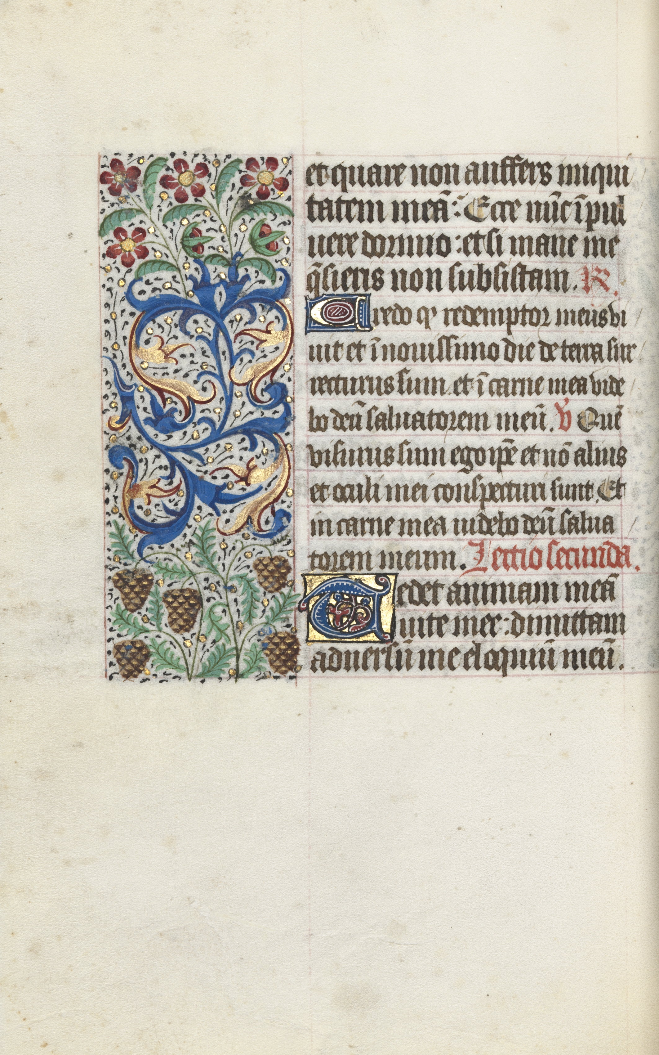 Book of Hours (Use of Rouen): fol. 115v