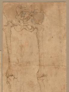 Romulus and Remus Found by Faustulus (recto) Concentric Circles (verso ...