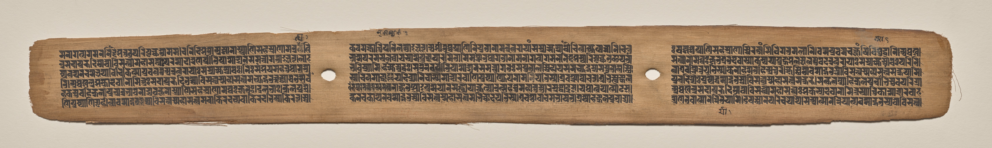 Text, folio 183 (recto), from a Manuscript of the Perfection of Wisdom in Eight Thousand Lines (Ashtasahasrika Prajnaparamita-sutra)
