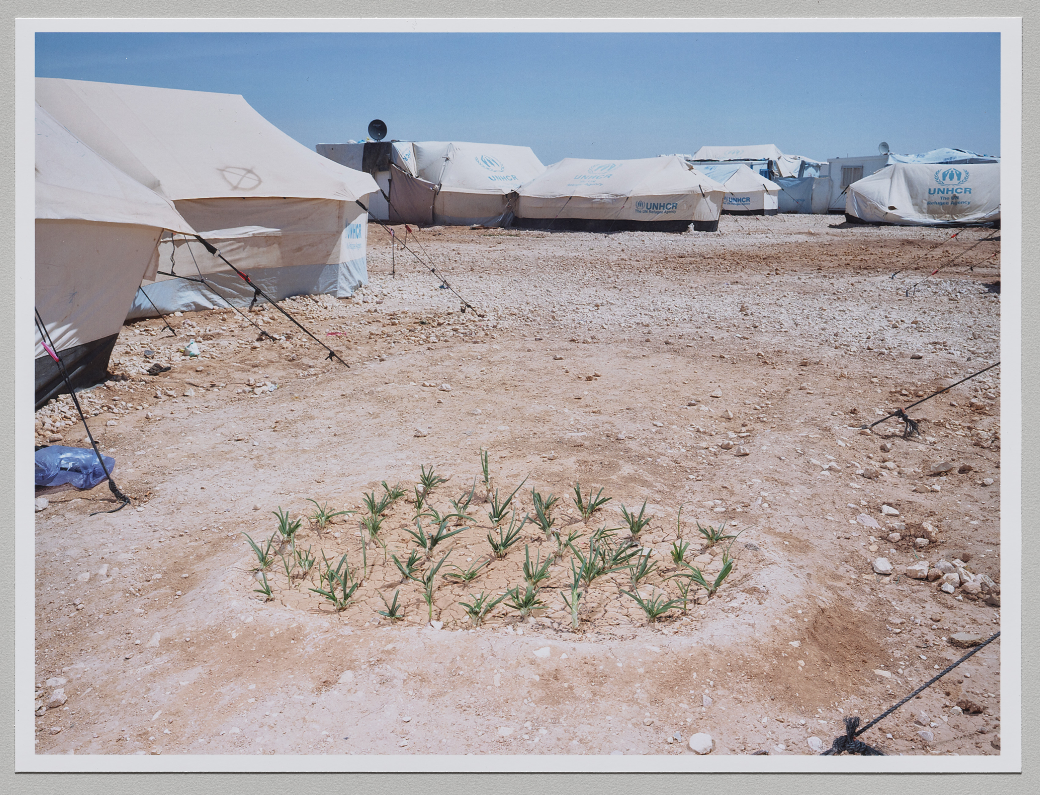 Zaatari Camp, Jordan, April 2014