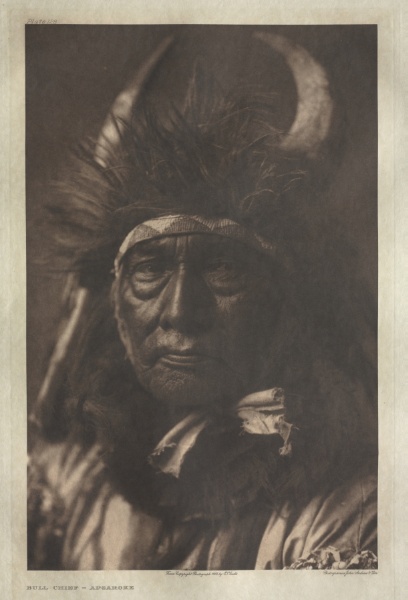 Portfolio IV, Plate 128: Bull Chief--Apsaroke