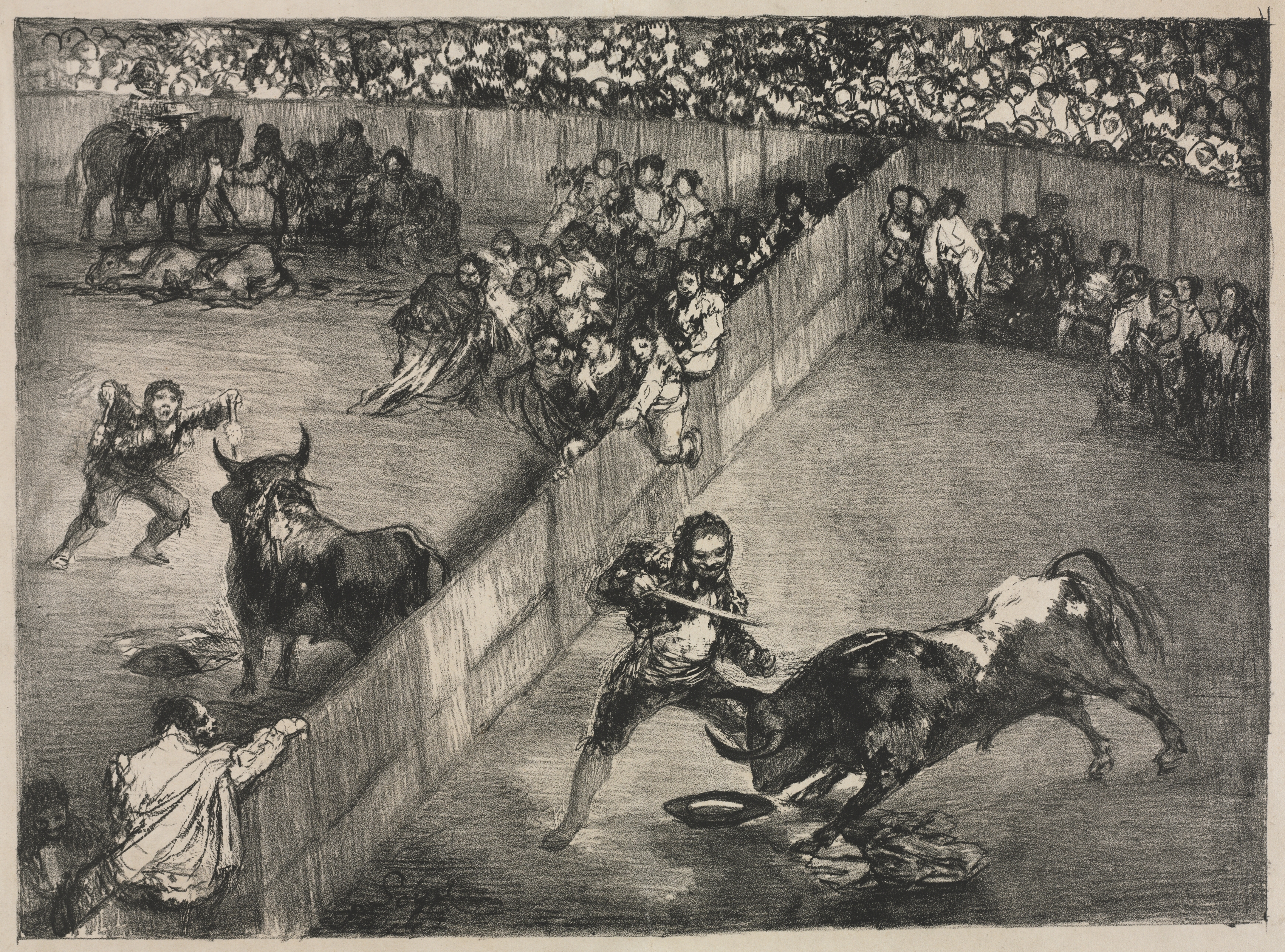 The Bulls of Bordeaux:  Bullfight in a Divided Ring