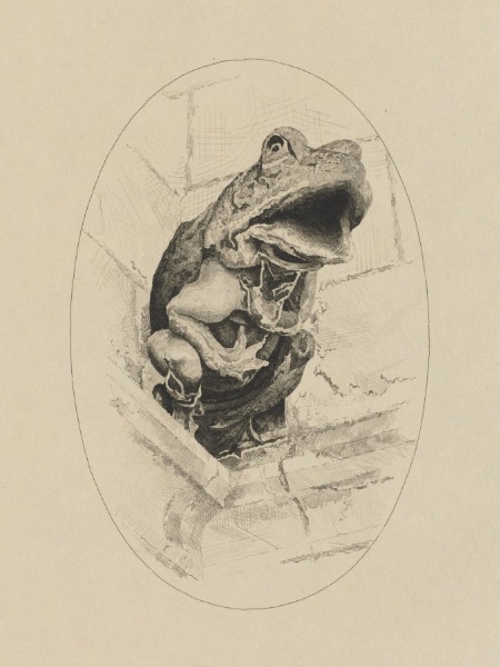 Gargouille, Tour Charles VIII, Amboise