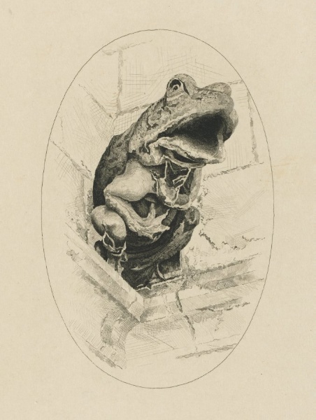 The Frog of the Tour, Charles VIII, Amboise