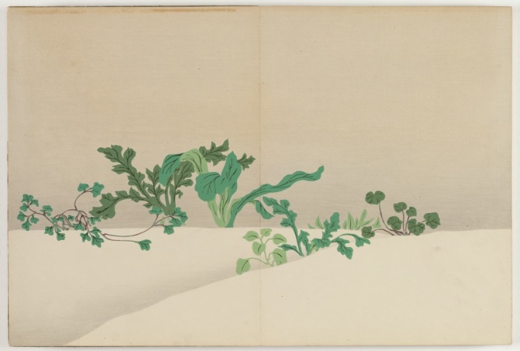 Flowers of a Hundred Worlds (Momoyogusa): Seven Herbs of Early Spring (Nanagusa)